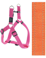 Rogz For Dogs Snake Step In Tuig Voor Hond Oranje 16 Mmx42 61 Cm
