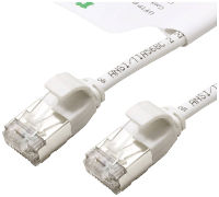 ROLINE GREEN F/UTP DataCenter Patchkabel Cat.6A (Class EA), LSOH, extra dun, wit, 0,3 m