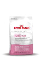 Royal Canin Mother & Babycat kattenvoer 10 kg