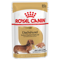 Royal Canin Adult Dachshund (Teckel) natvoer hond (paté) 4 dozen (48 x 85 g)