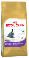 Royal Canin Kitten British Shorthair kattenvoer 2 x 2 kg