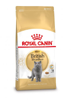 Royal Canin Adult British Shorthair kattenvoer 2 x 10 kg