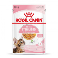 Royal Canin Kitten Sterilised natvoer kat (in gelei) 1 doos (12 x 85 g)