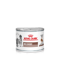 Royal Canin Veterinary Recovery natvoer hond en kat (mousse) 1 tray (12 x 195 g)