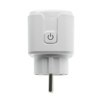 Tuya 16A EU Smart Socket WiFi Smart Plug Met Power Monitoring Timing Functie Spraakbesturing Via Alexa Google Home
