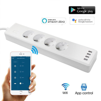 RSH Tuya Smart Wireless WiFi EU Stopcontact Europese Standaard Spraakbesturing Werken met Amazon Alexa