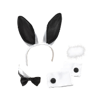 Verkleed set bunny   5 delig   zwart/wit   verkleed accessoires