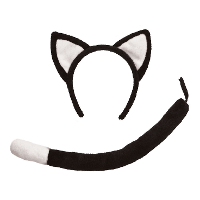 Verkleed set kat/poes   oortjes/staart   zwart   voor kinderen