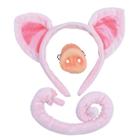 Verkleed set varken   oortjes/staart/snuit   roze   voor kinderen