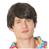 Verkleedpruik voor heren   bruin   Seventies   Carnaval   kort haar