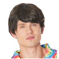 Verkleedpruik voor heren   bruin   Seventies/popster/sixties/surfboy   Carnaval   kort haar