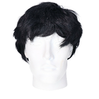 Verkleedpruik voor heren   zwart   seventies/popster/sixties/surfboy   Carnaval   kort haar