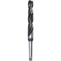 RUKO 204200 HSS Metaal spiraalboor 20 mm Gezamenlijke lengte 238 mm DIN 345 1 stuk(s)