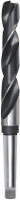 RUKO 204220 HSS Metaal spiraalboor 22 mm Gezamenlijke lengte 248 mm DIN 345 1 stuk(s)