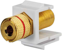 Rutenbeck 17000608 Adapter Bus, recht 1 stuk(s)