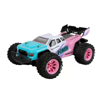 S025 S026 1/16 2.4G 2WD borstels RC auto LED licht Off road truck hoge snelheid voertuigen model RTR speelgoed