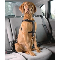 Safe Dog Set Voor De Hond Medium