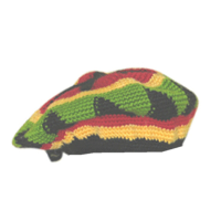 Verkleed Wollen rasta muts