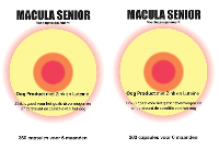 Macula Senior Capsules Jaarverpakking