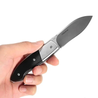 Sanrenmu 7028 Lue Xh 16.2Cm Stainless Steel Liner Lock Folding Knife Outdoor Camping Fishing Knife