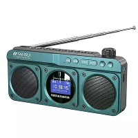 SANSUI F28 Dual Speaker Draadloze Bluetooth Radio met Bas Diafragma Digitale Weergave Ondersteuning U Schijf TF Kaart Ho