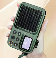 SANSUI F37 Mini Draagbare FM Radio Buiten Bass bluetooth 5.3 Speaker Recorder met LED Display Handsfree Belondersteuning