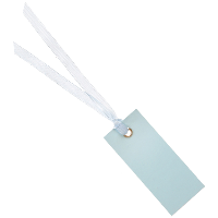 Santex Cadeaulabels met lintje   set 12x stuks   lichtblauw   3 x 7 cm   naam tags
