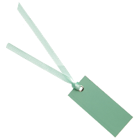 Cadeaulabels met lintje   set 12x stuks   mint groen   3 x 7 cm   naam tags