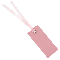 Santex Cadeaulabels met lintje   set 12x stuks   roze   3 x 7 cm   naam tags