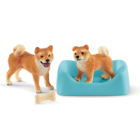 Shiba Inu moeder en welp