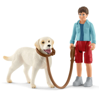 Wandeling met labrador retriever