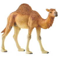 Schleich Wild Life   Dromedaris speelfiguur