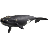 Schleich Wild Life   Noordkaper speelfiguur