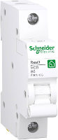 Schneider Electric R9F27106 Zekeringautomaat