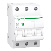 Schneider Electric R9F28310 Zekeringautomaat