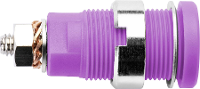 Schützinger DI SEB 6445 Ni / PVI Veiligheids inbouwbus Violet 1 stuk(s)
