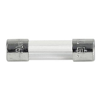 Schurter 0034.1506 0034.1506 Buiszekering 0.10 A 250 V/AC Snel  F  Inhoud 1 stuk(s)