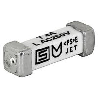 Schurter 3403.0171.11 3403.0171.11 SMD zekering 3.15 A 125 V/DC Traag  T  Inhoud 1 stuk(s)
