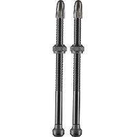 Schwalbe Tubeless ventiel 2 stuks, 100 mm
