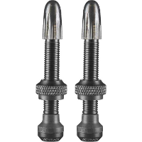 Schwalbe Tubeless ventiel 2 stuks, 40 mm
