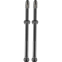 Schwalbe Tubeless ventiel ventiel 2 stuks, 100 mm