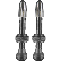 Schwalbe Tubeless ventiel ventiel 2 stuks, 40 mm