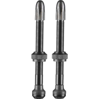 Schwalbe Tubeless ventiel ventiel 2 stuks, 60 mm