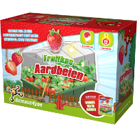Science4you Fruitkas   Aardbeien