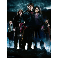 SD Toys Harry Potter: The Goblet of Fire   Group
