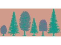 Set bomen Gemengd bos 50 tot 140 mm NOCH Hobby 26811 25 stuks