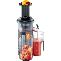 Slowjuicer ES 3569