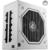 Sharkoon Rebel P20 1000 White voeding 1x 12VHPWR, 4x PCIe, kabelmanagement