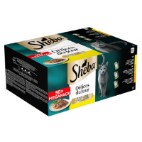 Sheba Délices du Jour met kip, kalkoen en eend in saus natvoer kat (50g) 12 x 50 g