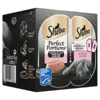 Sheba Perfect Portions Luxe Paté met zalm nat kattenvoer 2 verpakkingen (6 x 75 g)